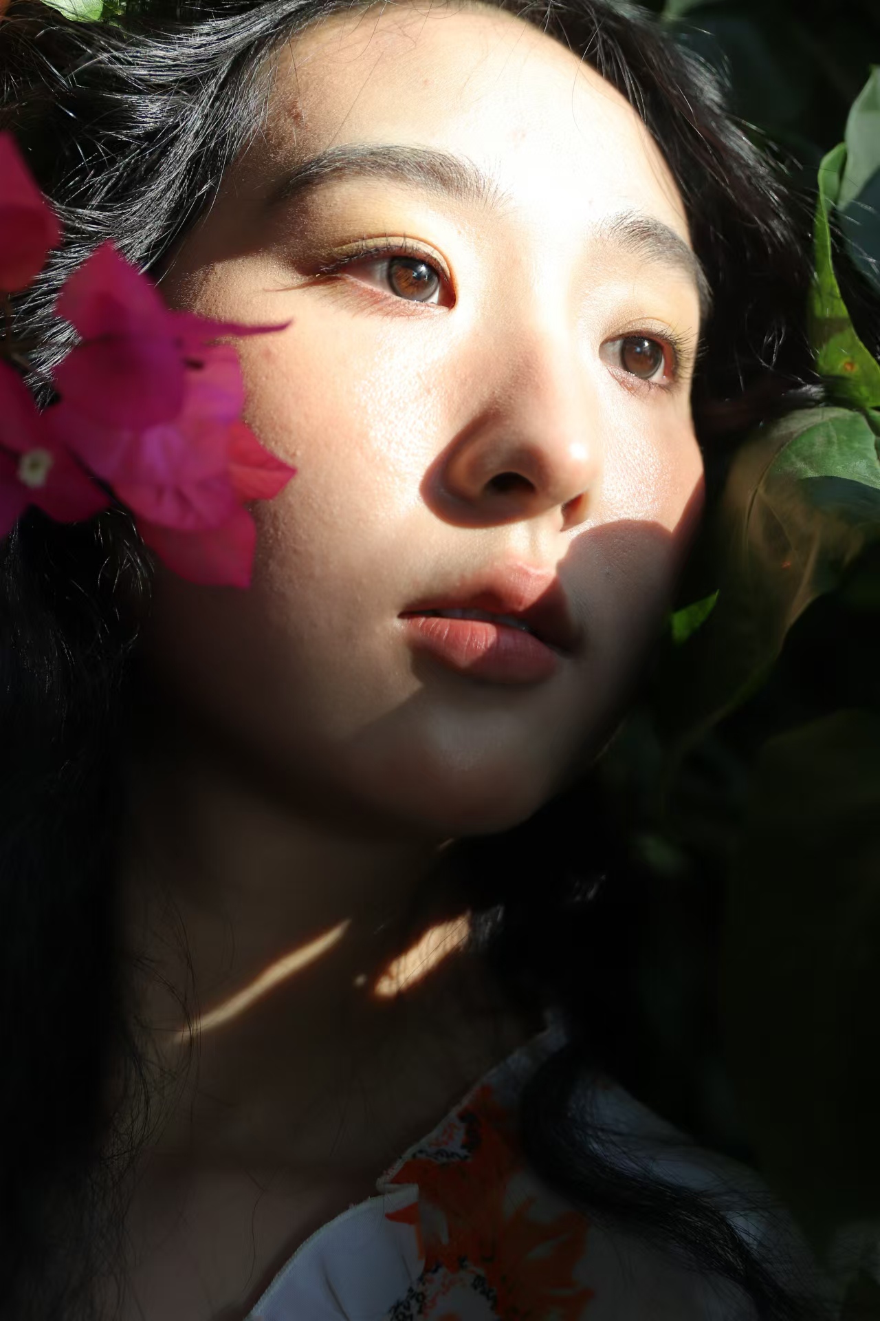 花影与阳光中的牛乔个人照片